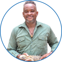 Damion Whyte Pinnacle Impact